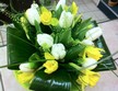 SM1 - Spring Mix